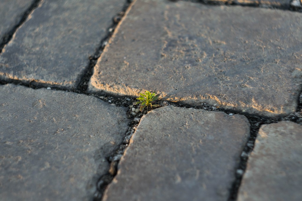 Learn how to create a paver patio in a weekend | Swanson-Realty.com